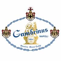 GAMBRINUS